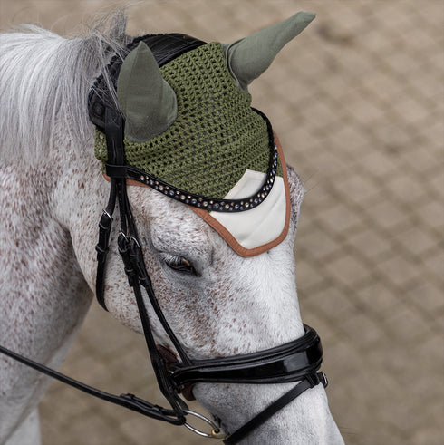 EAR NET, FOREST FERN