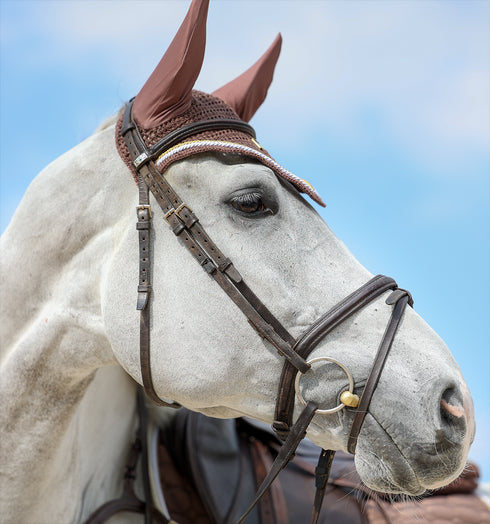 DRESSAGE SET, MUDDY TRUFFLE