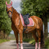 DRESSAGE SADDLE PAD, FLIRTY FLAMINGO